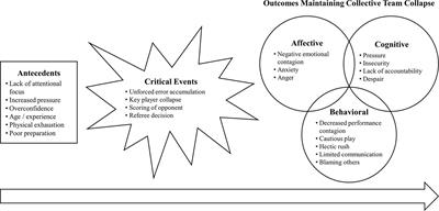 When You Watch Your Team Fall Apart – Coaches’ and Sport Psychologists’ Perceptions on Causes of Collective Sport Team Collapse